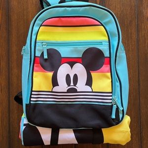 Disney Picnic Bag